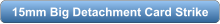 download PDF