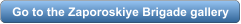 download PDF
